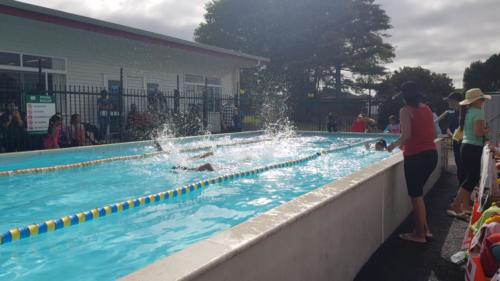 Middle School Swimming Sports