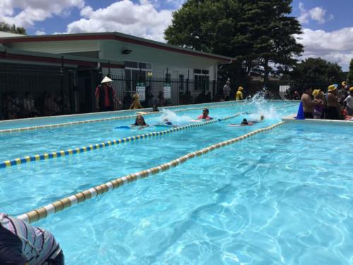 Swimming Sports (Seniors)