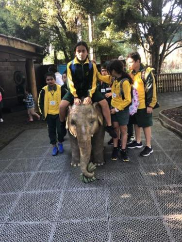 Senior School Zoo Trip 